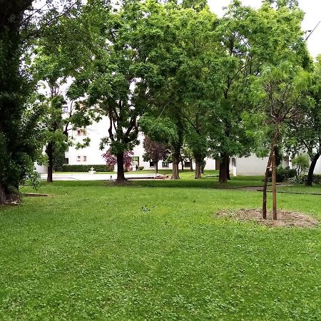 Chambre Double Greg En Colocation Montpellier Buitenkant foto